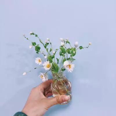 手游一代宗师台服版下载